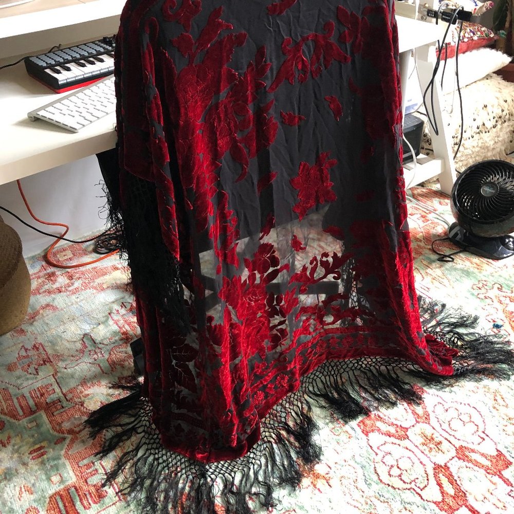 Velvet sheer tassel robe - bedroom or fashion!